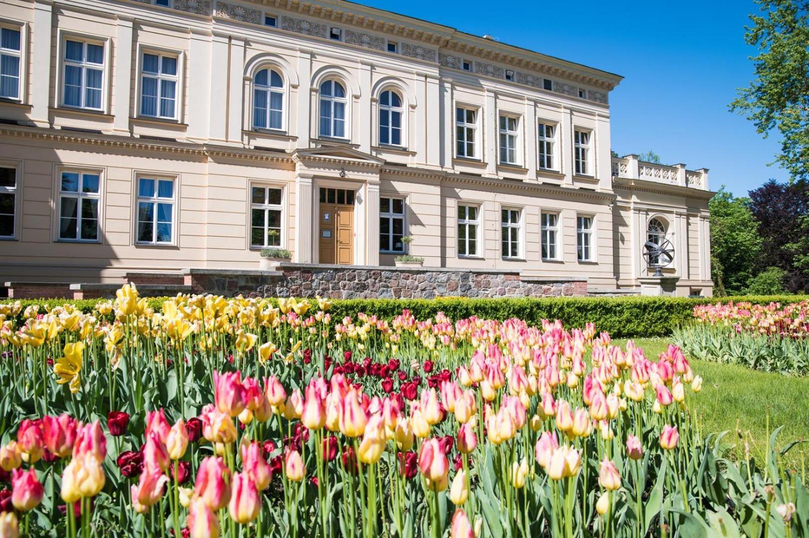 Zespol Palacowo-Parkowy W Ostromecku Ostromecko Exteriör bild